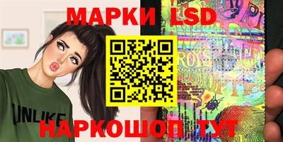 мдпв Камышлов