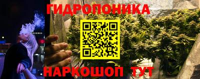 мдпв Камышлов