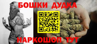 мдпв Камышлов