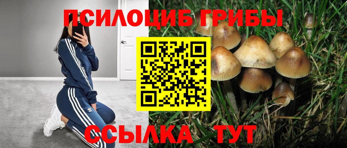 цены наркотик  Псилоцибиновые грибы прущие грибы  Вход с VPN  Ликино-Дулёво 