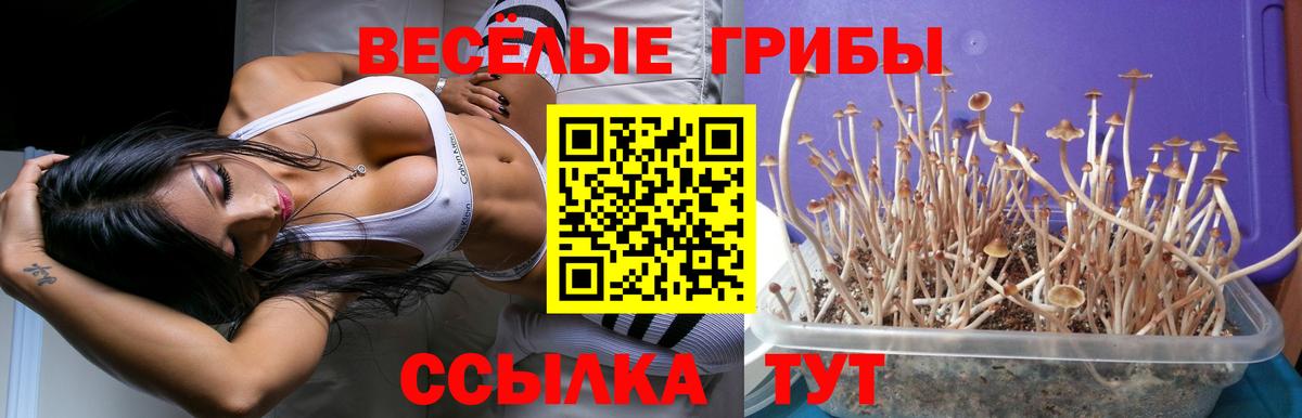Бошки Шишки  Вход с VPN  НБОМе  Мефедрон   ГАШ  ГАШ  Ликино-Дулёво  МЕТАМФЕТАМИН 